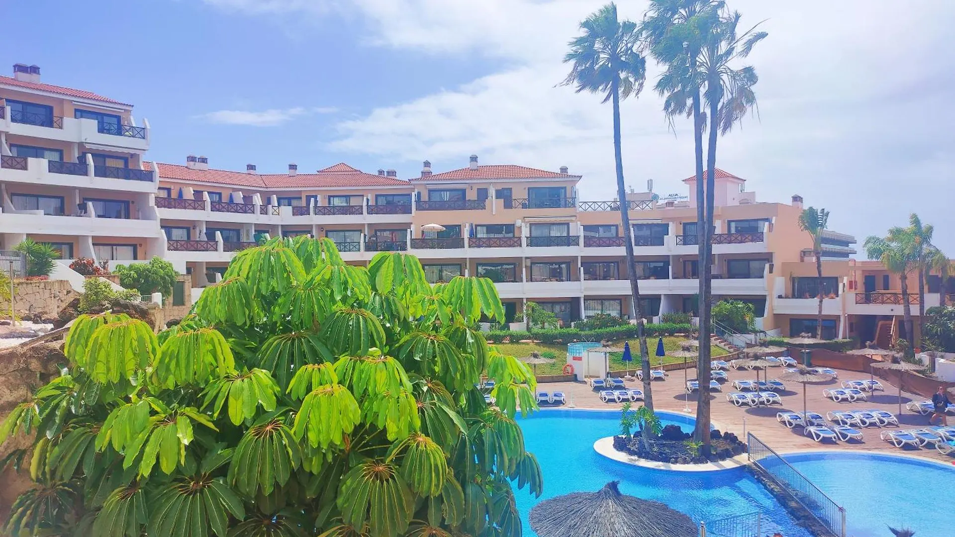 Lovely Apartment Top Views, Heated Pool, Great Location San Miguel de Abona